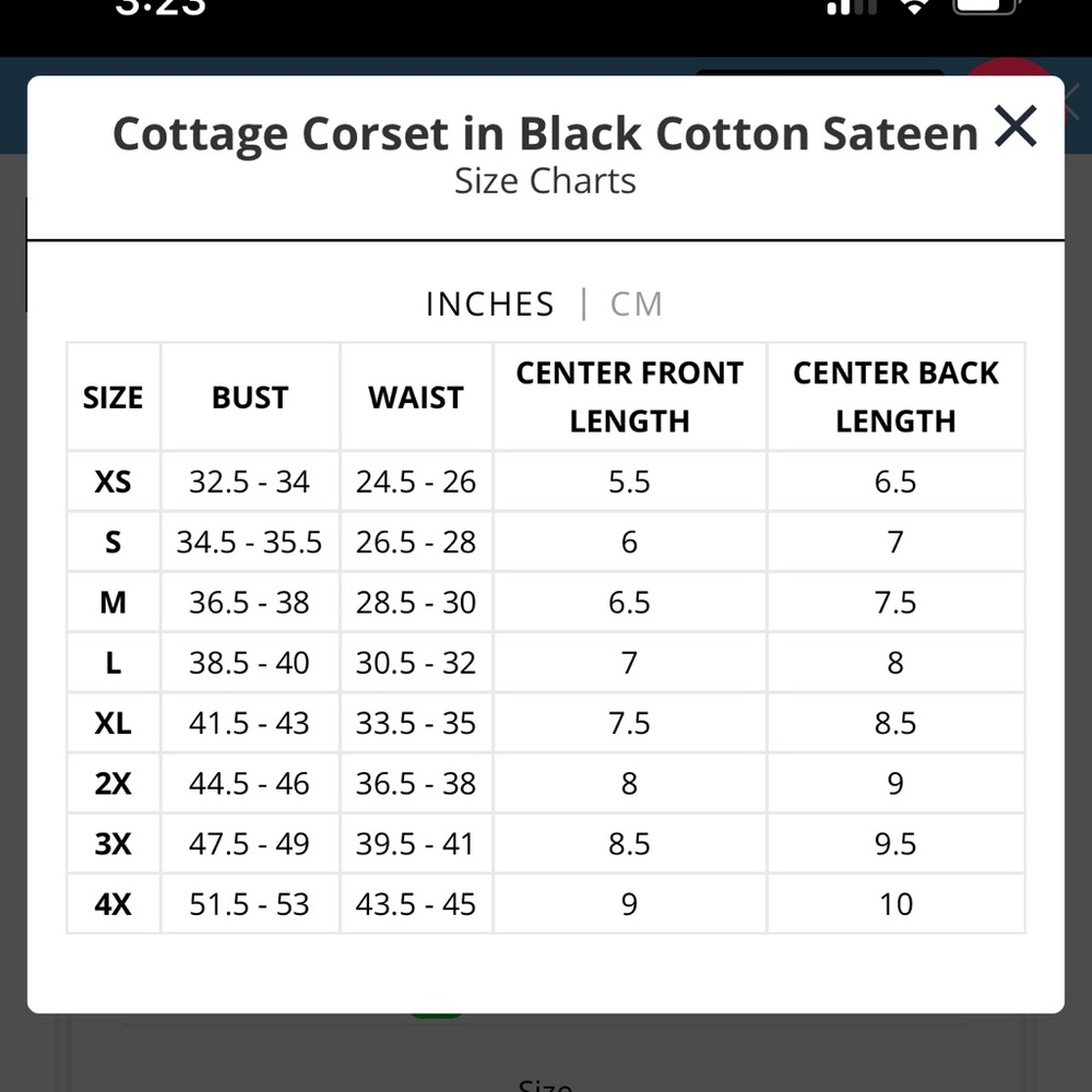 Cottage Witch Corset by La Femme en Noir 4x - Picture 2 of 5